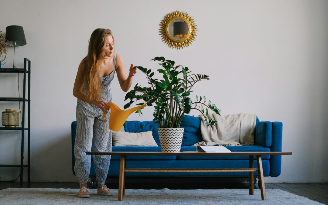 Spring Refresh: Best Plants to Brighten Your Apartment